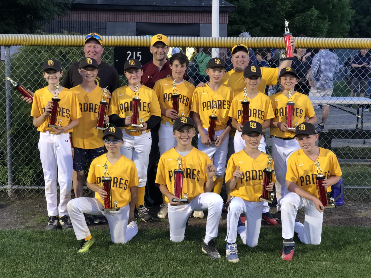 Majors Winchester Youth Baseball Softball